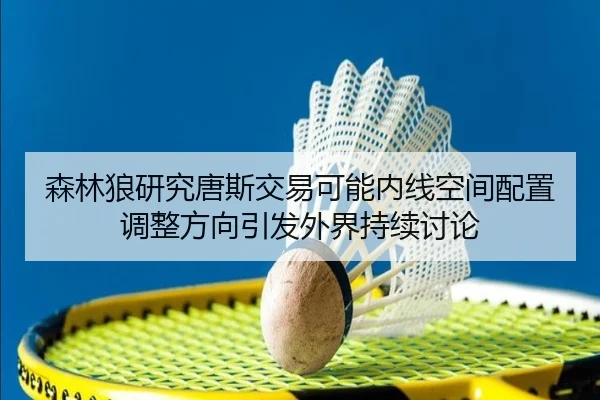 森林狼研究唐斯交易可能内线空间配置调整方向引发外界持续讨论